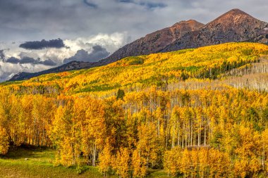 Colorado 'daki Girdap Butte yakınlarında sonbahar kavak rengi