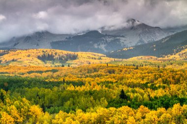 Colorado 'daki Girdap Butte yakınlarında sonbahar kavak rengi