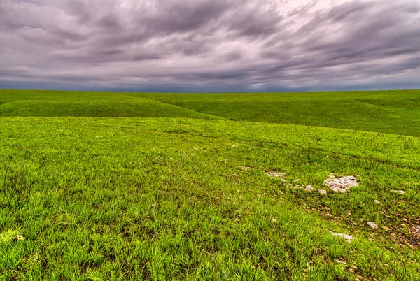 Grünes Weideland Den Flint Hills Von Kansas — Stockfoto