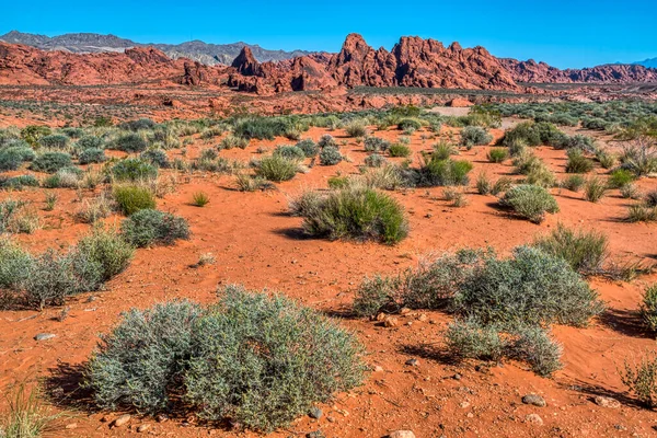 stock image Valley of Fire State Park near Las Vegas, Nevada