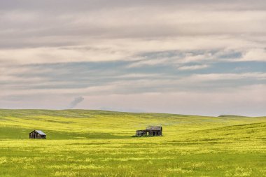 Güney Dakota 'daki Custer Eyalet Parkı