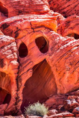 Las Vegas yakınlarındaki Ateş Vadisi Eyalet Parkı 'ndan görüntü 4 / 14 / 2018