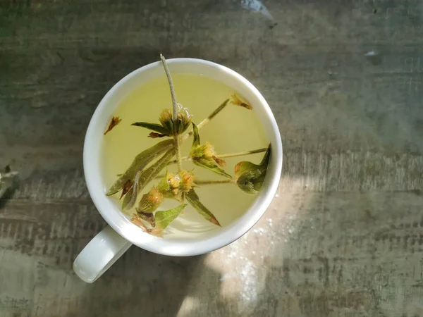 Biały Kubek Gorącą Żółtą Herbatą Ziołową Greckiej Herbaty Górskiej Liści — Zdjęcie stockowe