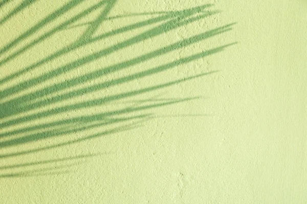 Zamazana Palma Liści Cienie Zielonej Turkusowej Ścianie Stiuku Niebieskiego Minimalistyczne — Zdjęcie stockowe