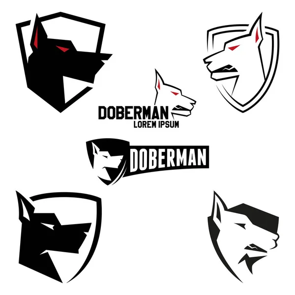 Logó doberman beállítva. Logo dühös kutya design a márka. — Stock Vector