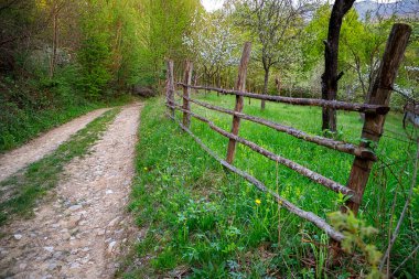 Köy yolu ve ağaç gövdelerinden yapılmış el yapımı çitler. Kırsal alan, doğa duvar kâğıdı arka plan.