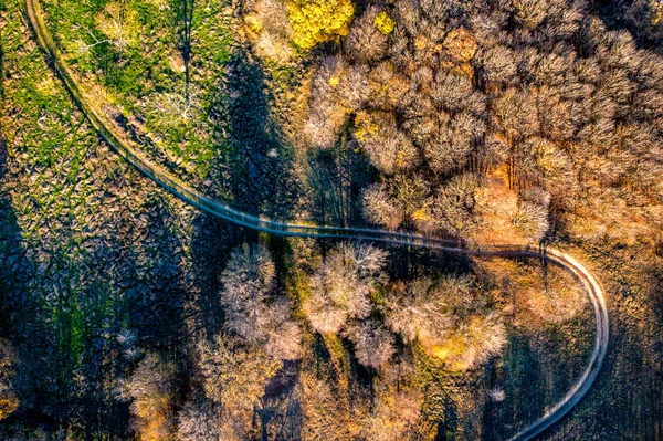 Bovenaanzicht Vanuit Drone Van Park Herfst Landschap Met Bomen Landweg — Stockfoto