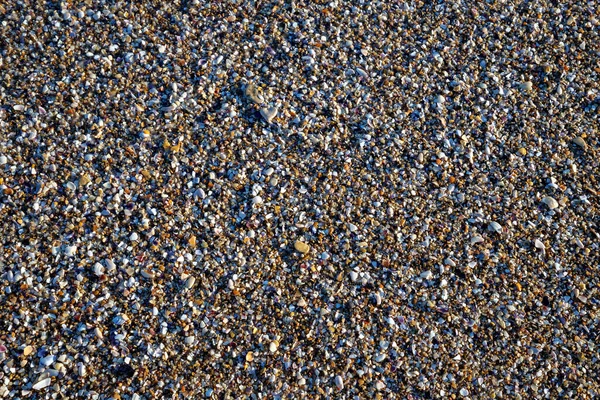 Natürliche Sandoberfläche Mit Muschelfragmenten Und Kleinen Kieselsteinen Als Hintergrund — Stockfoto