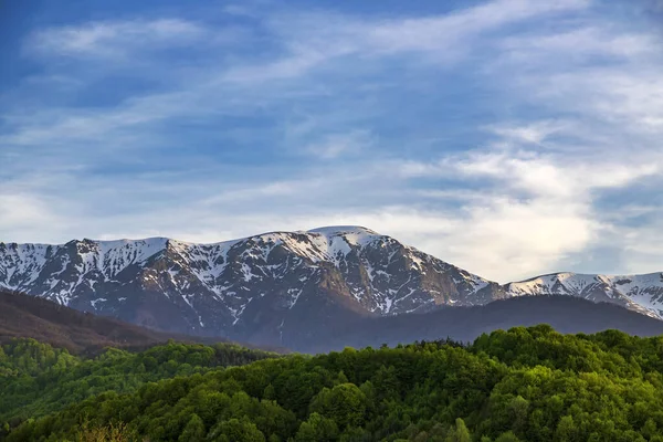 Słoneczne Górskie Krajobrazy Żywym Zielonym Lasem Wzgórzu Śnieżnymi Górami Słońcu — Zdjęcie stockowe