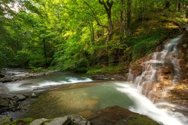 Bulgaristan 'ın dağlarındaki yeşil ormanda güzel bir şelale