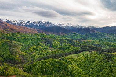 Karla kaplı dağlar ve yeşil orman. Baharda renkli bir manzara. Turizm kavramı.