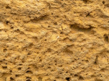 The rock surface is made of yellow sandstone