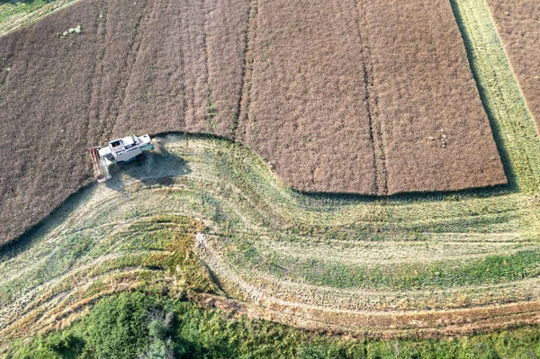 Hasat Zamanı Tarım Tarım Endüstrisi Hasat Alanının Hava Görüntüsü — Stok fotoğraf