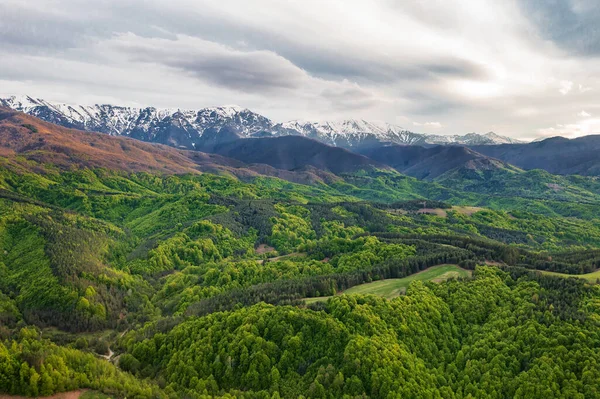 Montagnes Enneigées Forêt Verte Paysage Coloré Printemps Concept Tourisme — Photo