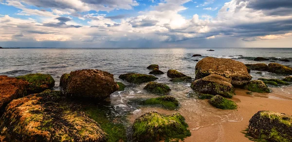 Vista Panorâmica Costa Rochosa Com Musgo Verde Nas Pedras — Fotografia de Stock