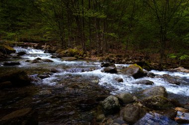  Ottobeuren 'deki St. Alexander ve St. Theodor Bazilikası