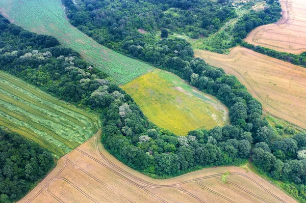 Aerial Drone View Countryside Attractive Trees — Foto de Stock