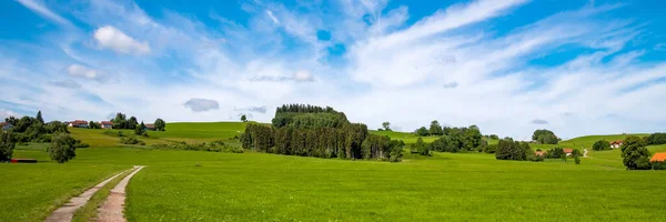 Panoramic View Green Countryside Country Road — Stockfoto