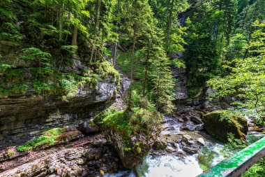 ? tour to a narrow gorge at Breitachklamm, Germany