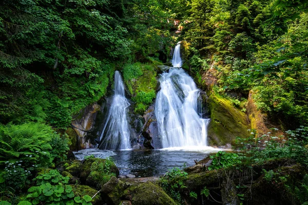 Cascade Waterfalls Triberg Schwarzwald Travel Germany — Φωτογραφία Αρχείου