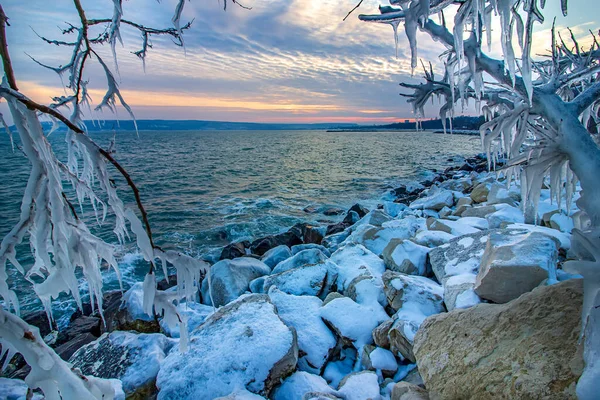 Afternoon Shore Icicles Tree Branches Frozen Winter Landscape — Foto Stock