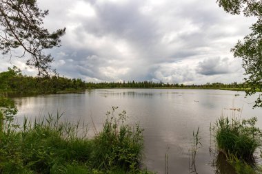 Gölün ağaçlarının arasında güzel bir manzara.