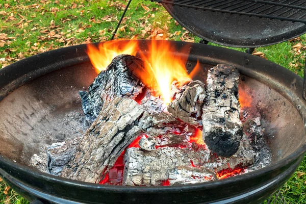 Grillskog Eldsvåda Metallgrill Förberedelse För Grillning — Stockfoto