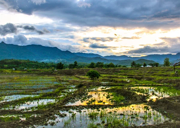 Поля Рису Гора Заході Сонця Північному Таїланді — стокове фото