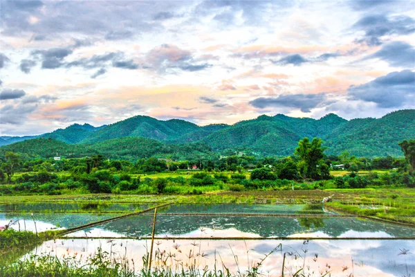 Fazenda Montanha Tailândia Campo — Fotografia de Stock