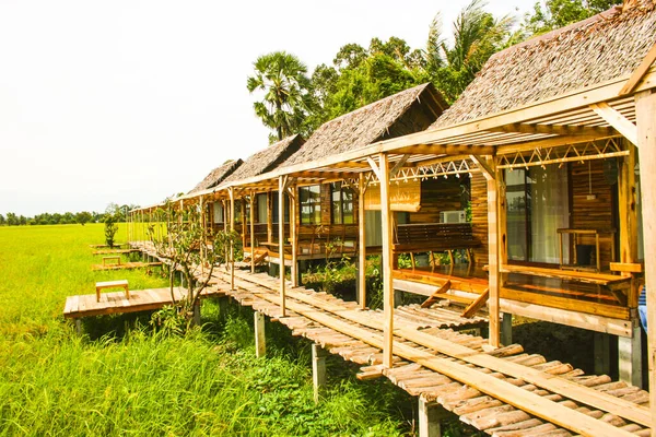  Güney Tayland Trave 'deki ahşap tesis ve manzara