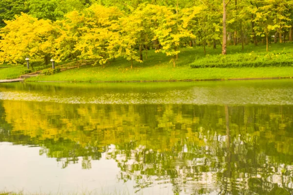 Krajobraz Jezioro Rośliny Kwitnące Chatuchak — Zdjęcie stockowe