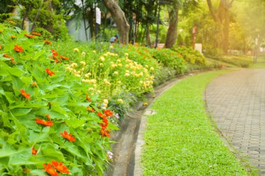 Bangkok, Tayland 'daki Chatuchak Parkı' nda renkli çiçek tarlaları ve patikalar.