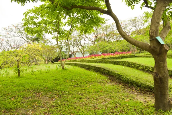 Landscape Beautiful Trees Many Flower Chathuchack Bangkok Thailand — Stock Photo, Image