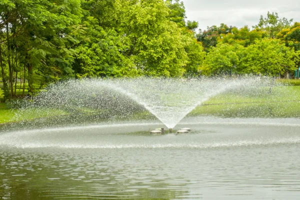 Freshwater Pond Beauty Chatuchak Garden View — Stock Photo, Image