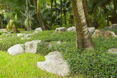 Chatuchak Park, Bangkok, Tayland 'da hindistan cevizi ağaçları ve taş süslemeler 