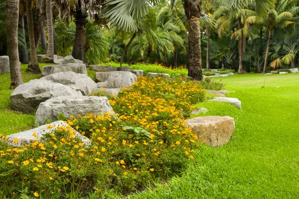 Decoración Piedras Amarillos Floreciendo Parque Jardín Chathuchack —  Fotos de Stock