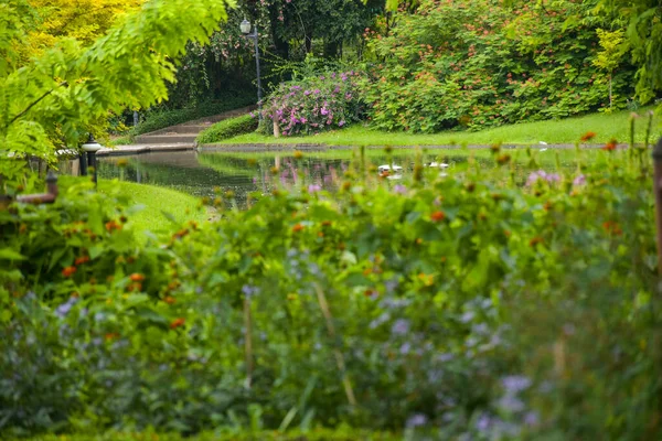 scenery of flowers and shadows in the water is beautiful in the beautiful Chatuchak Park