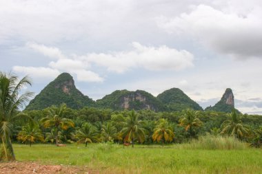 mountains in Phatthalung beauty nature and palm tree in south Thailand