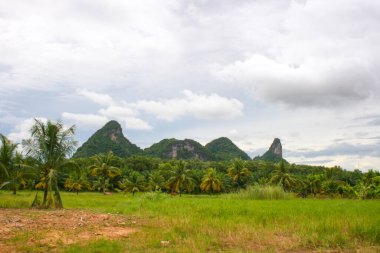 mountains in Phatthalung beauty nature and palm tree in south Thailand