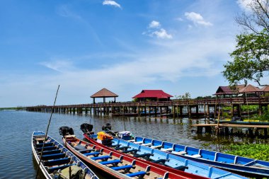 Colorful  boat tours in the Phatthalung Lake basin, southern Thailand