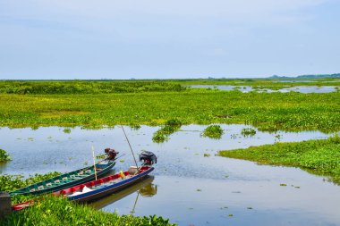 fisherman's wooden boat in a lake in Phatthalung