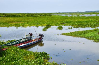 fisherman's wooden boat in a lake in Phatthalung