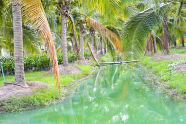 The blue water surface is surrounded by coconut groves in southern Thailand.