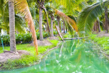 The blue water surface is surrounded by coconut groves in southern Thailand.