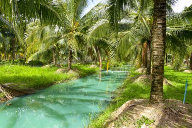 Coconut trees and blue water beauty nature in south Thailand