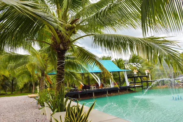 Resort Relex Coconut Garden South Thailand Travel — Zdjęcie stockowe