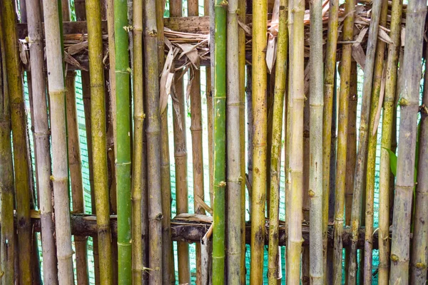 Floors Walls Fences Rural Houses Made Bamboo — Photo