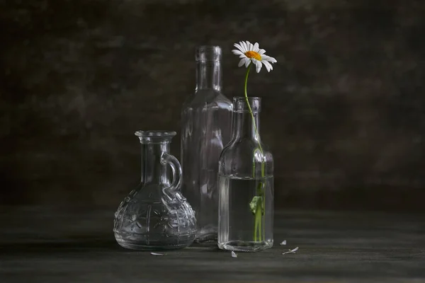 Stillleben Eine Kamille Glas Auf Einem Holztisch Rustikaler Stil — Stockfoto