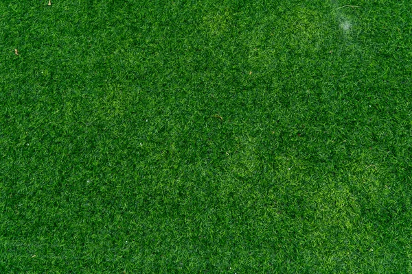 Top View Artificial Grass Field Background Texture Shot Abstract Background — Foto Stock