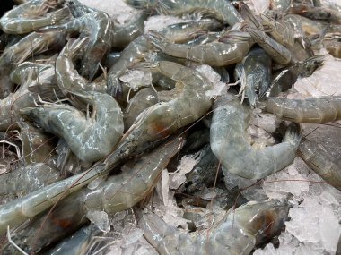 Piyasada buzda taze çiğ karides satılıyor. Soğutulmuş arka plan, iyi mutfak malzemesi..